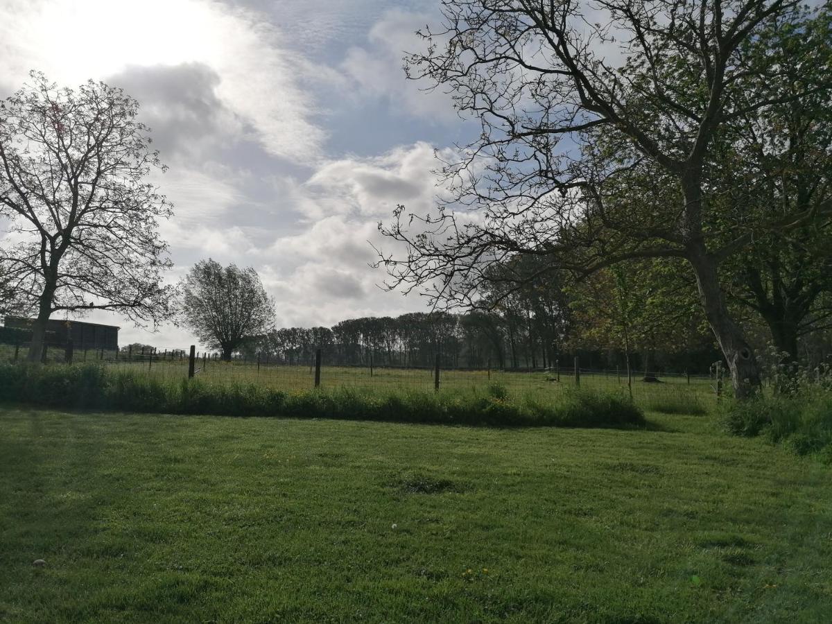B&B Lekker Buiten Lierde Dış mekan fotoğraf