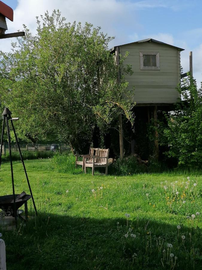 B&B Lekker Buiten Lierde Dış mekan fotoğraf